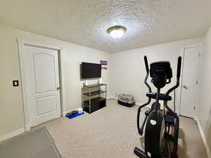 Workout room with a textured ceiling and light carpet