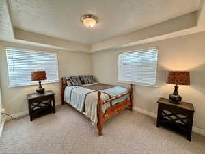 Bedroom featuring light carpet, a textured ceiling, and a raised ceiling