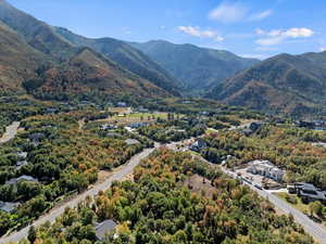 View of mountain background featuring a heavily wooded area
