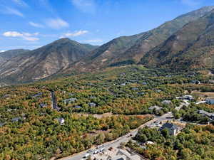 View of mountain background with a forest
