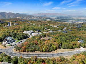 Bird's eye view of a forest and mountains