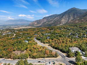 Drone / aerial view of a mountainous background and a forest