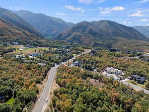 Aerial view of a mountainous background and a forest