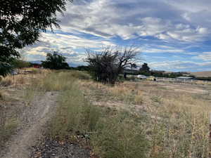 View of yard featuring a view of rural / pastoral area