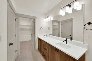 Basement master full bath with double vanity and walk-in closet
