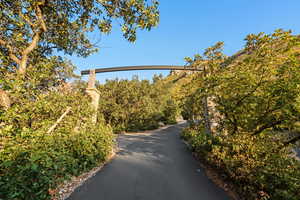 View of road with a wooded view