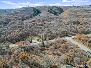 Bird's eye view of a mountain backdrop