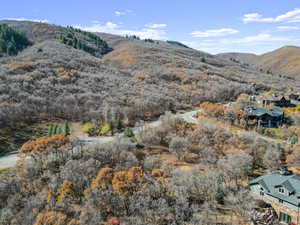 Mountain view with a heavily wooded area