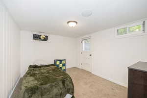 Carpeted bedroom featuring wood walls
