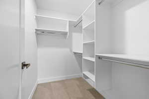 Spacious closet featuring light carpet
