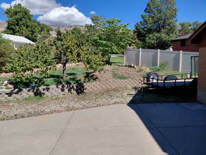 View of garden with a driveway and trailer parking area