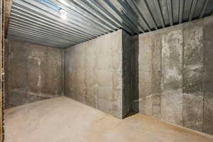 View of unfinished basement