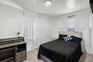 Bedroom featuring light carpet, a textured wall, and a textured ceiling