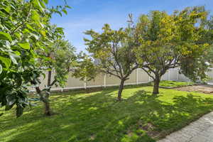 View of fenced backyard