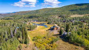 Bird's eye view of a heavily wooded area and a mountain backdrop