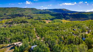 Bird's eye view of a mountainous background and a heavily wooded area