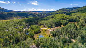 Bird's eye view of a forest and a water and mountain view
