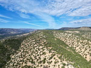 View of mountain background