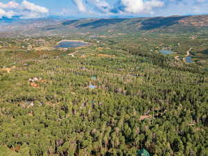 Aerial view of property's location with a heavily wooded area and a water and mountain view