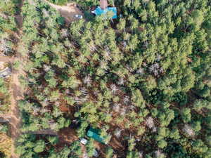 Aerial view of property's location