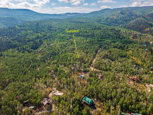 Bird's eye view of mountains and a forest