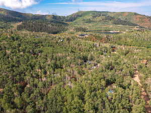 Mountain view featuring a forest
