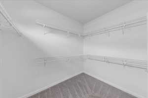 Walk in closet with carpet
