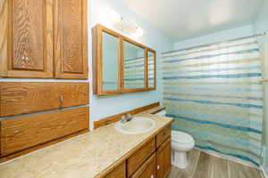 Bathroom with light wood finished floors, vanity, and a shower with curtain