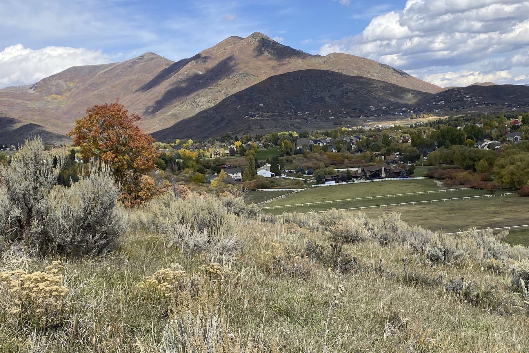 View of mountain background