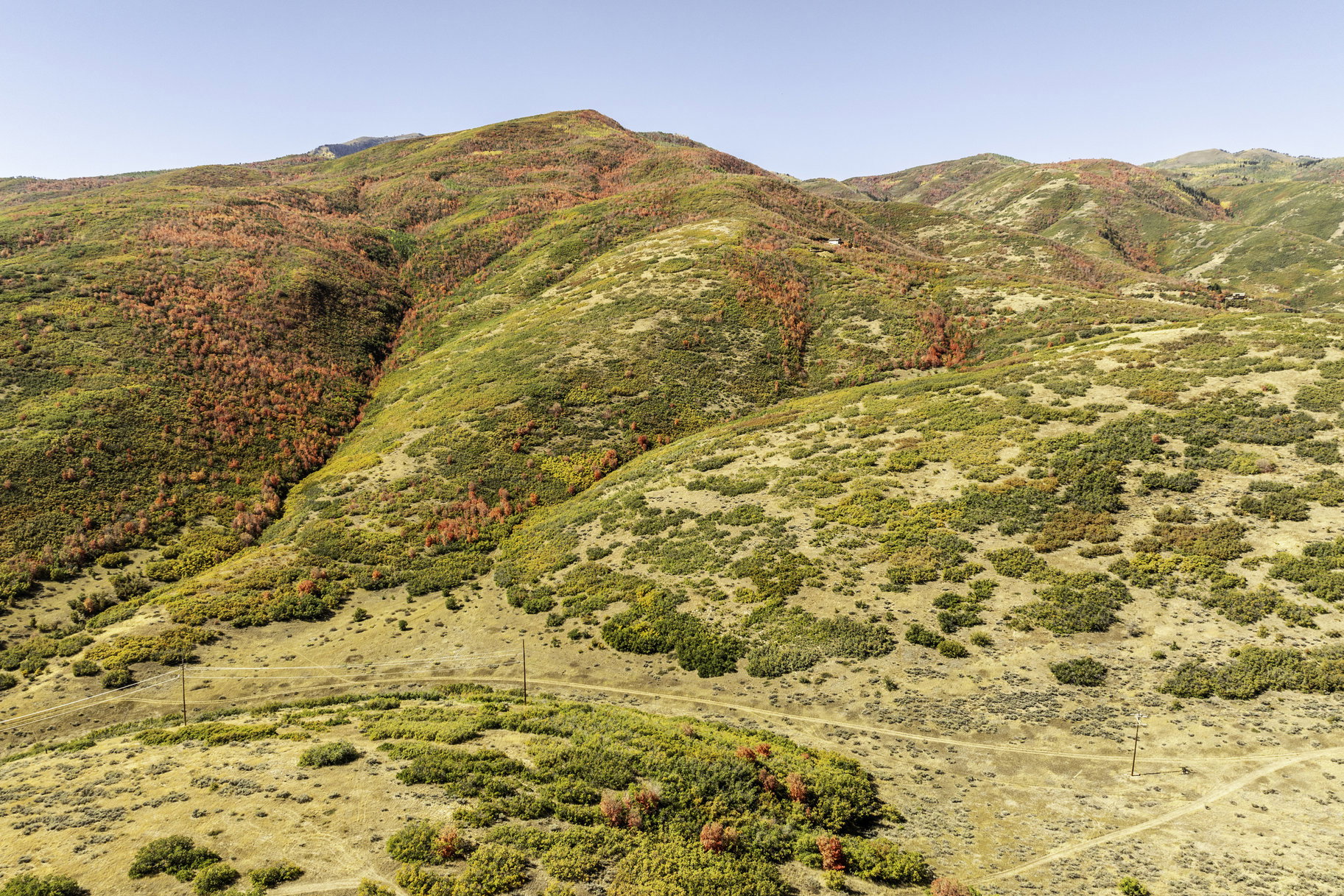 Mountain view