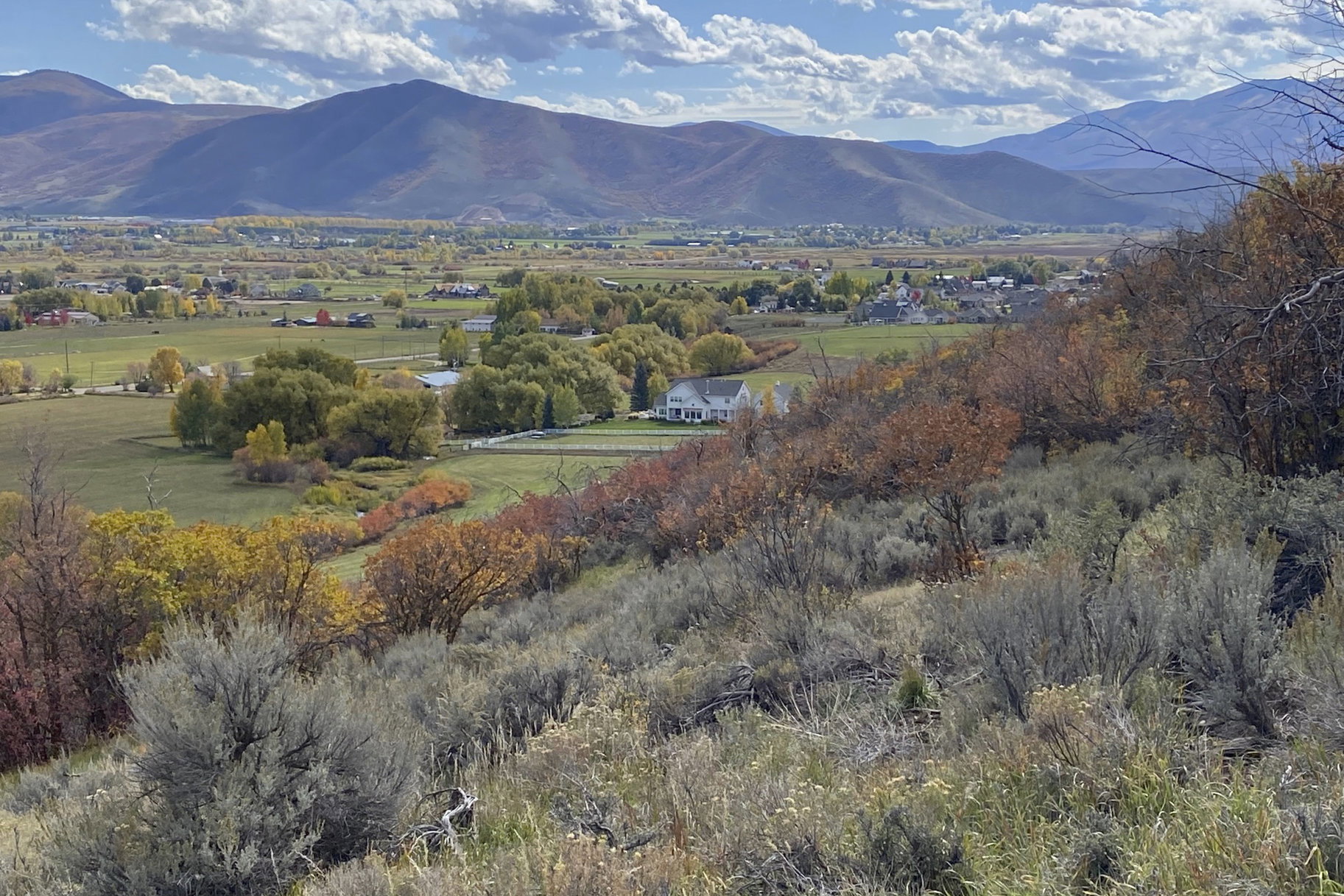 Mountain view with a tree filled landscape