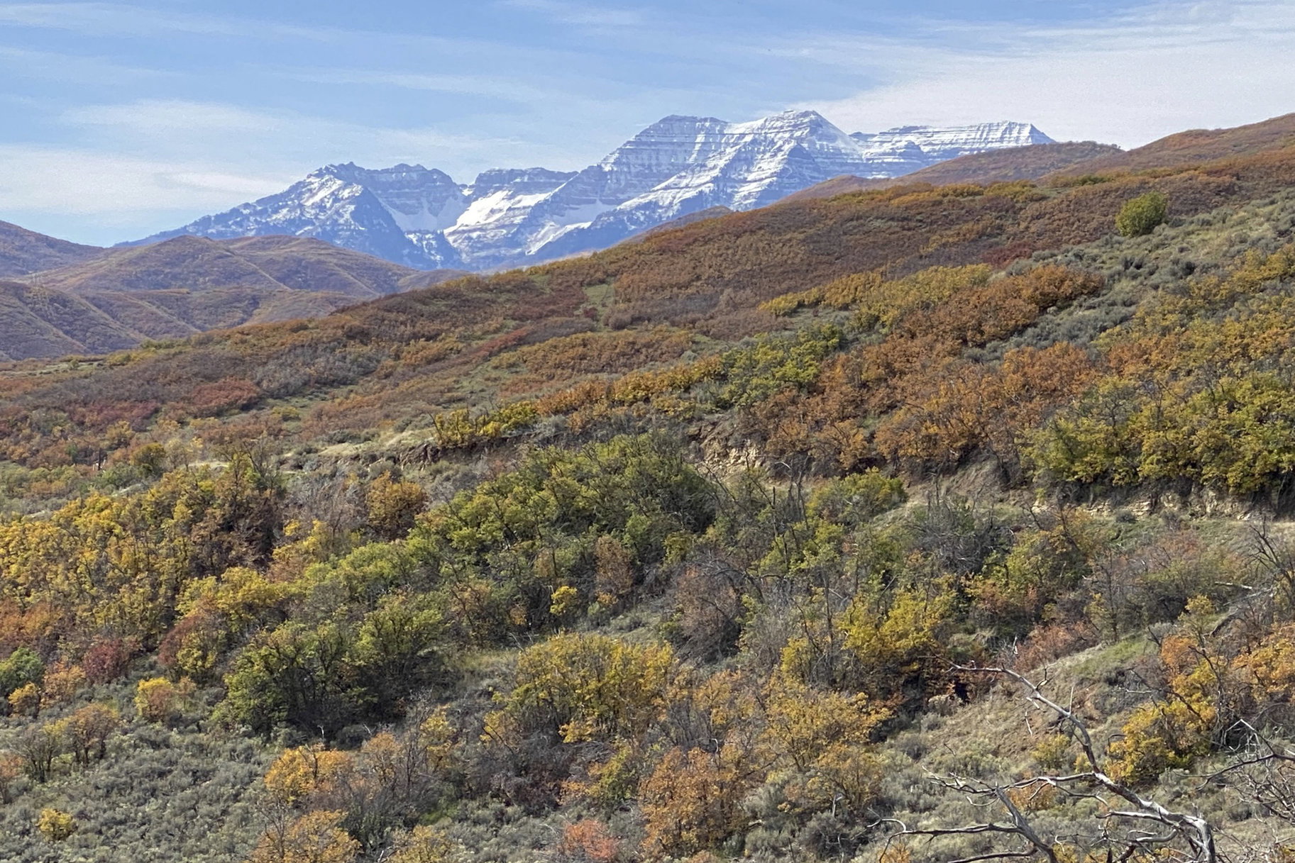 Mountain view