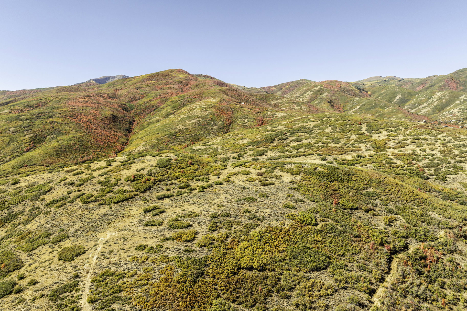 View of mountain background