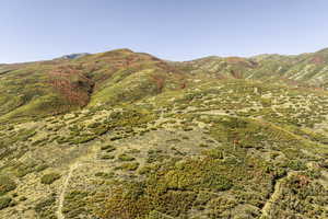 View of mountain background