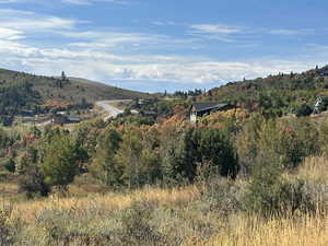 View of mountain backdrop featuring a heavily wooded area