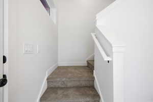 Staircase with carpet flooring