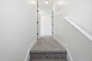 Stairs with carpet flooring