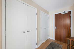 Entrance foyer featuring hardwood / wood-style flooring