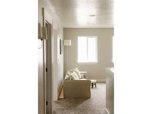 Corridor featuring light carpet and a textured ceiling