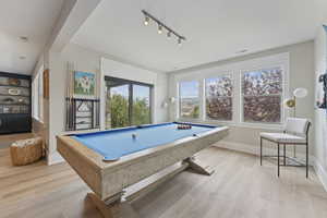 Rec room featuring light wood-style floors, pool table, and track lighting