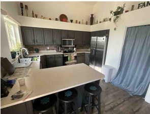 Kitchen with light countertops, dark wood-style flooring, high vaulted ceiling, a peninsula, and appliances with stainless steel finishes