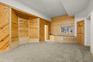 Carpeted empty room with wood walls and baseboards