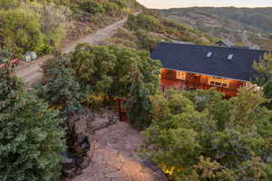 Drone / aerial view of a tree filled landscape