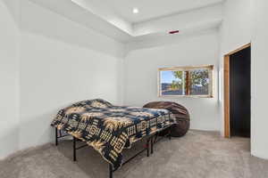 Carpeted bedroom with recessed lighting