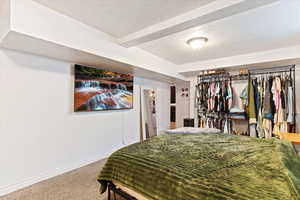 Basement family room, large open space
