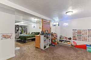 Basement family room, large open space