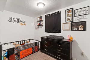 2nd Basement bedroom