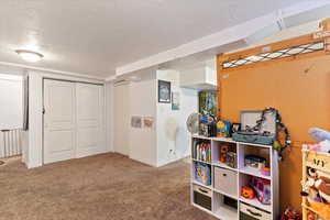 Basement family room, large open space