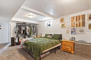 Basement family room, large open space