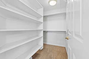 Spacious closet featuring light colored carpet